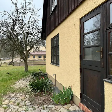 Monika In Im Bernstein Σπίτι διακοπών Wendorf (Kuhlen-Wendorf)